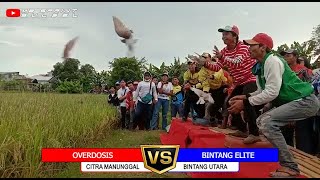 FINAL LOMBA MERPATI BALAP SPRINT PPMBSI SELEKDA SULSELBAR [OVERDOSIS VS BINTANG ELITE]