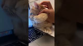 🧐🧐🧐🧐👌😀😁😁😁