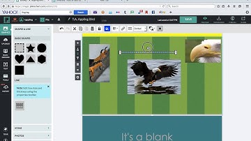 Video 6  Adding Lines in Piktochart