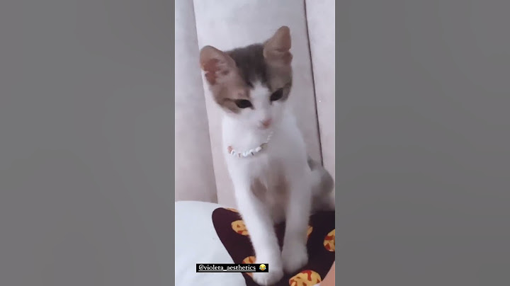 Mikela pupa me macen