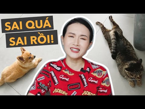 Video: Đừng mắc phải 5 sai lầm chăm sóc mèo này