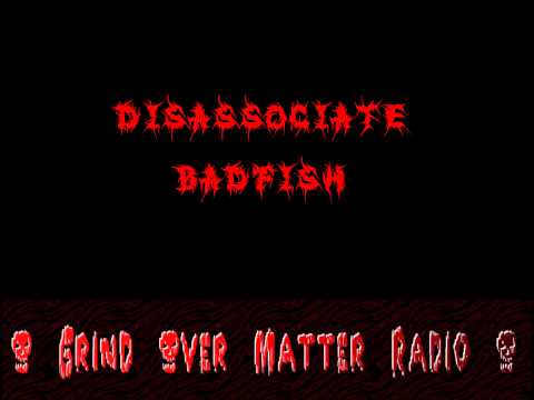 Disassociate — Disassociate - Badfish