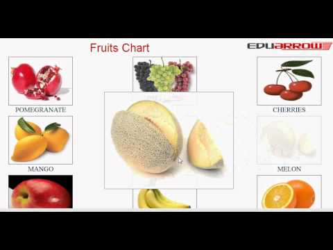 How To Make Fruit Chart For School