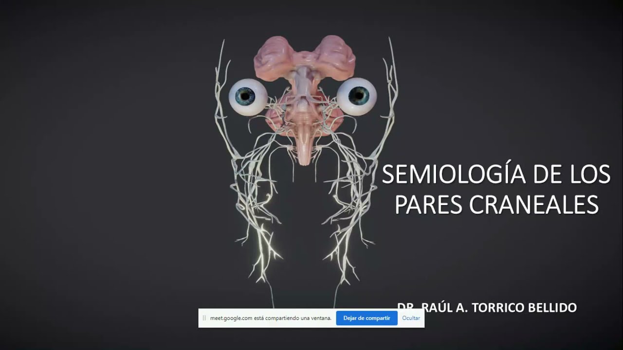 SEMIOLOGÍA DE LOS PARES CRANEALES 1