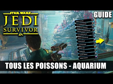 Vidéo: Guide complet : l'Aquarium de l'aventure