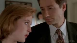 Mulder and Scully // How I Like My Mulder // The X-Files