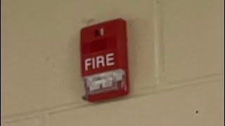 February Fire Drill Wealth