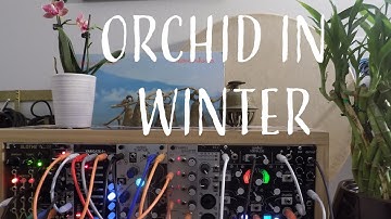 Orchid in Winter - 20 minutes of generative ambient modular eurorack for my 20th video