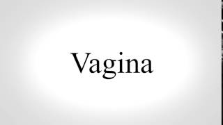 How to Pronounce Vagina