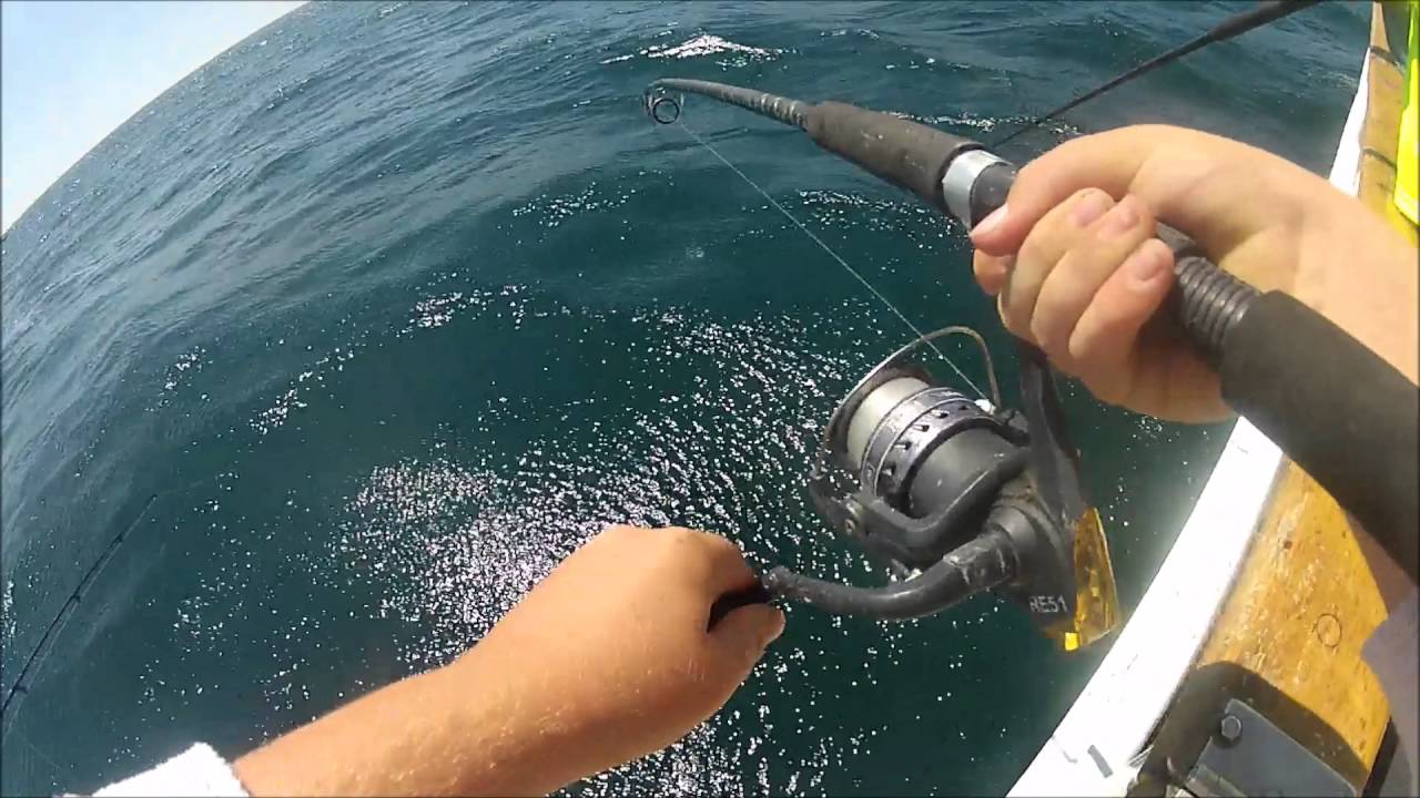 Offshore fishing Southern California YouTube