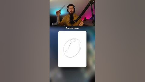 How to Draw Better Torso for Your Characters!!