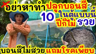 อย่าหาทำ! ปลูกบอนสีในตู้แบบนี้ 10ปีก็ไม่รวย บอนสีไม่สวย ไม่โต แถมโรคอีกเพียบ