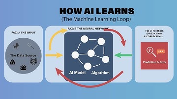 How AI Actually Learns: The Visual Guide to Machine Learning