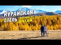 Курайская степь. Автопутешествие на Алтай. Часть 3