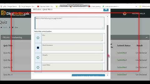 wordpress101 3rd solved quizzes | digiskill | Digiskills WordPress Quiz no 3 | quizzes solution