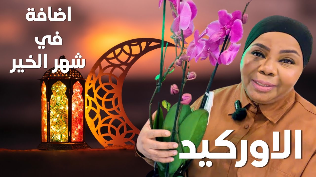 مشترياتي الجديدة من النباتات المنزلية 🌱✨