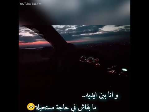 اه منها يا ليالي ليلة صوت فتاة مع تامر حسني حالات واتس اب عمري ابتدا