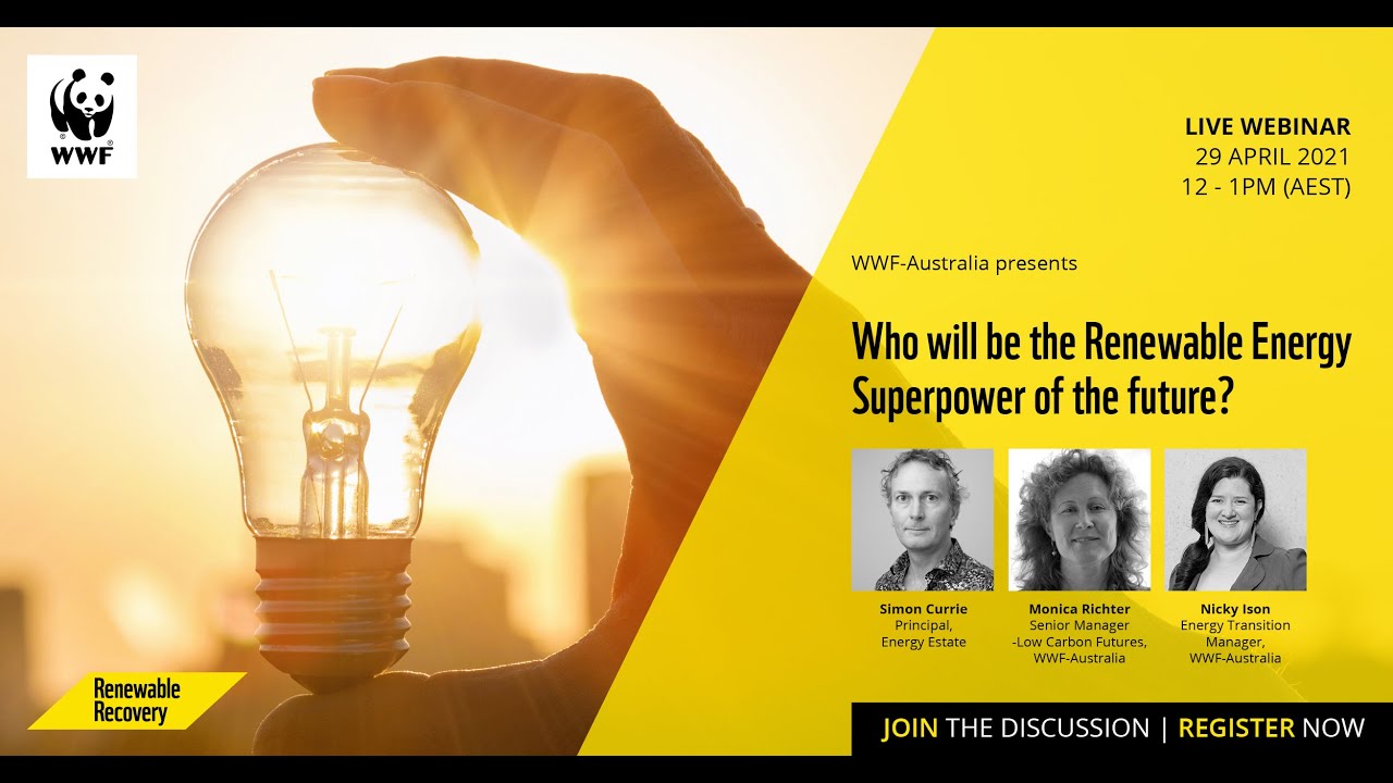 Webinar: Who will be the renewable energy superpower of the future? | WWF-Australia