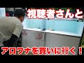 【ショップ訪問】視聴者さんとアロワナを買いに行く!#大型魚 #アジアアロワナ #アロワナ #aquarium #古代魚 #アクアリウム