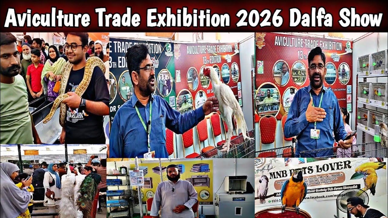 Aviculture Trade Exhibition 2026 At Expo Centre Karachi|Dalfa Show ...
