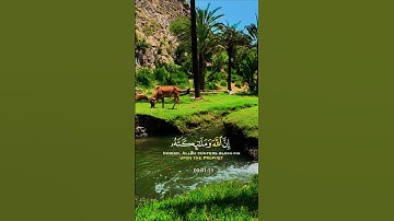 تلاوة خاشعة بصوت يريح الأعصاب #elmulquranعلم #قران_كريم #تلاوة #المصحف #trend #اكسبلور #aslam