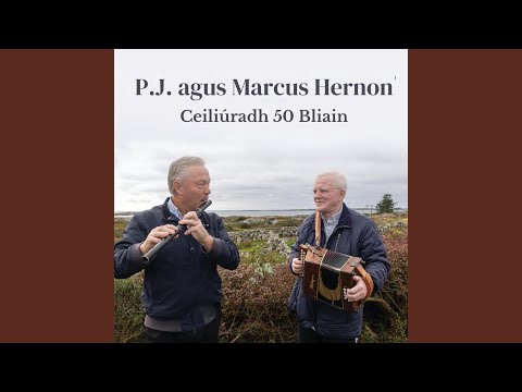 Waltzes: The Auld Claddagh Ring / The Valley of Knocanure / Pull Down the Blinds (feat....