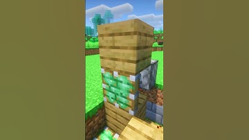 Block Swapper In Minecraft 🤯 #shorts #minecraft