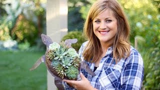 CUTE Turtle Succulent Planter!!