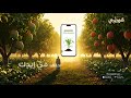 قمحاوي الحل لكل مشاكلك الزراعية في تطبيق واحد قمحاوي الحل لكل مشاكلك الزراعية في تطبيق واحد