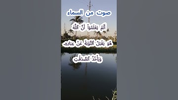صوت من السماء 2.. تلاوة نادرة #قرآن #قران_كريم #قران #قرآن_كريم #اكسبلور#الشيخ مبارك #الشيخ