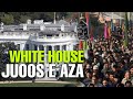 America  mey white house ke samne azadari juloos  muharram whatsapp status  viral 2021