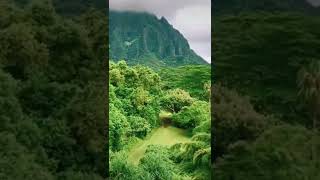 HAWAII/OAHU/NATURE