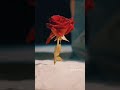 عشق بدون موسيقى عشق بدون موسيقى