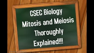 Подробное объяснение митоза и мейоза в рамках программы CSEC Biology и HSB!!! screenshot 4