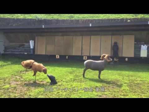 函館アーチェリー協会　アーチェリーフェスタ　2014