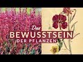 Das Bewusstsein der Pflanzen