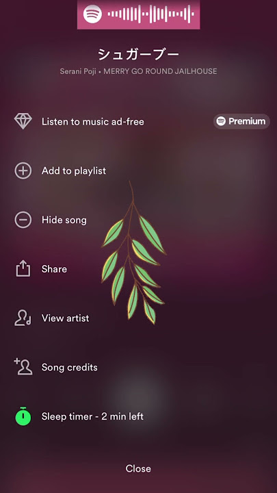 How to set a sleep timer on #spotify 🎧⚡️🫧