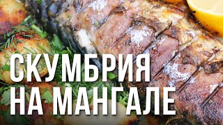 Скумбрия на мангале Скумбрия на мангале