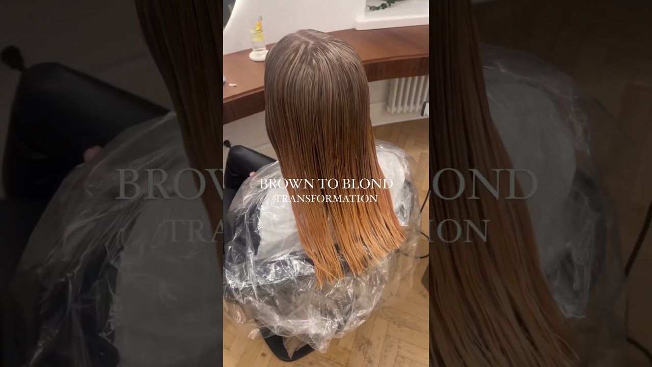 Brown to Blonde Hair Transformation My Hair Dyeing Experience