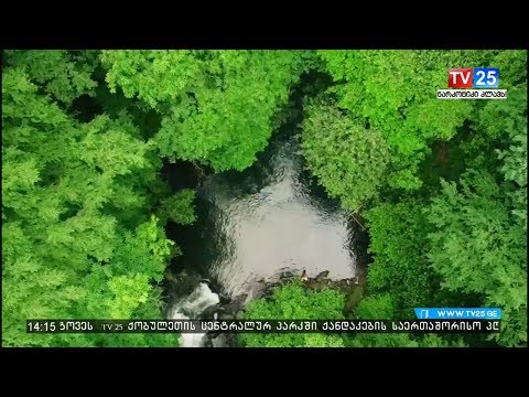 ხვალ ბათუმში სოფლის ტურიზმის საერთაშორისო კონფერენცია გაიხსნება