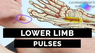 Lower Limb Pulses - OSCE Guide | UKMLA | CPSA