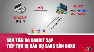 Sàn tiền ảo Daobit sập, nhà đầu tư tiếp tục bị dẫn dụ rồi mắc kẹt với sàn BUXC | VTV24