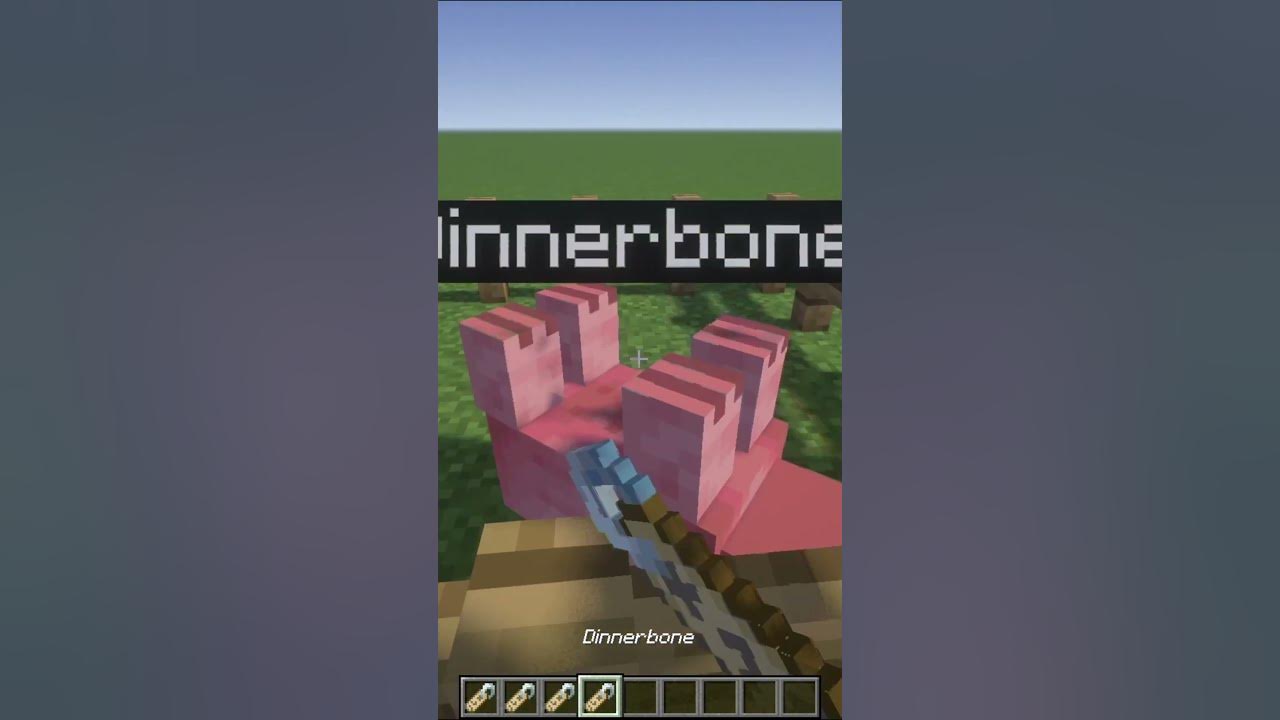 nametags-effects-on-mobs-youtube