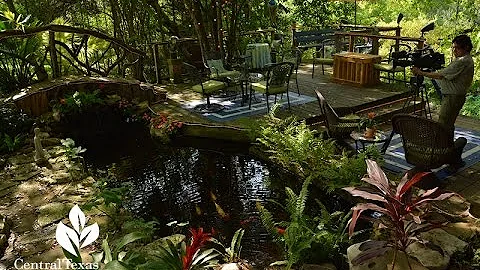 Serene Pond Backyard |Barbara and David Hale|Centr...