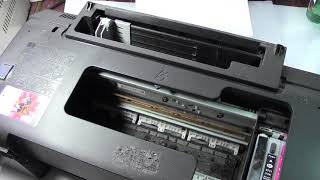 Принтер не печатает,застревает бумага