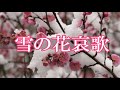 雪の花哀歌 岡ゆう子 9月26日発売