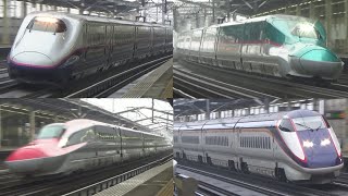 【高速通過!】JR東北新幹線 那須塩原駅 列車通過シーン集 2021.10.16