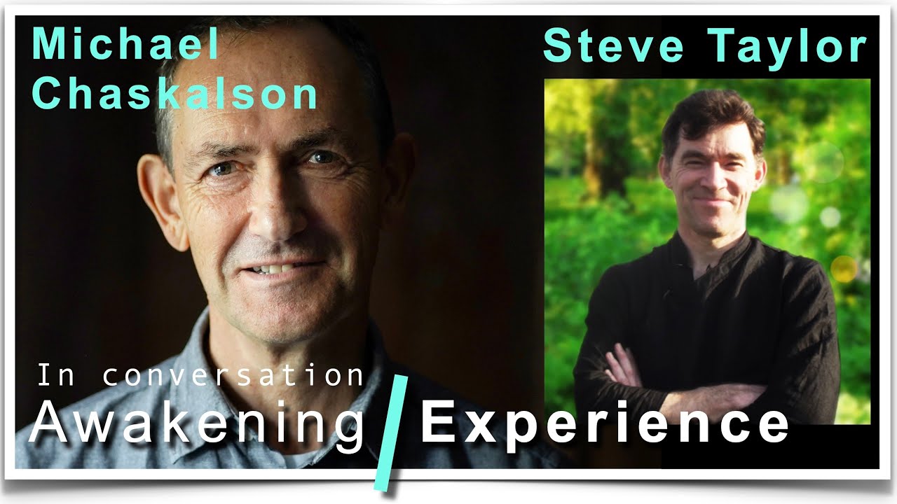 Conversation with Steve Taylor Aug 2024. https://www.stevenmtaylor.com