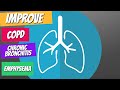 There is Hope! 3 Ways to Improve COPD, Chronic Bronchitis, and Emphysema