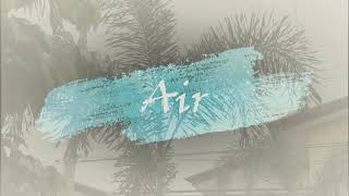 Natural Elements as Visual Texture| Motion Studies